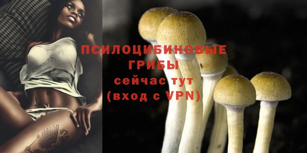 гидропоника Вяземский