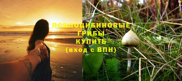 индика Вязники