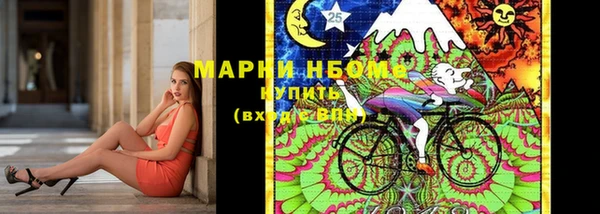 индика Вязники