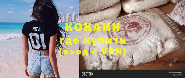 индика Вязники