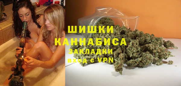 индика Вязники