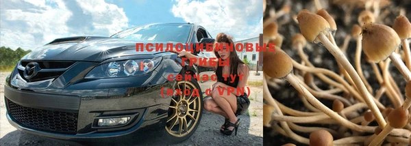 гидропоника Вяземский